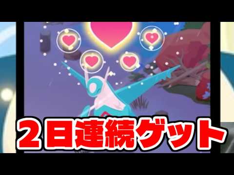 もう理想個体でていいよ。【ポケモンスリープ】