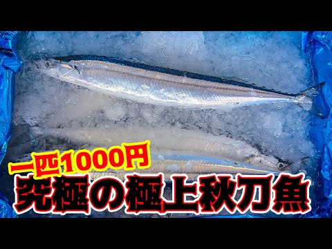 過去最高に美味しい究極のサンマを手に入れた！！