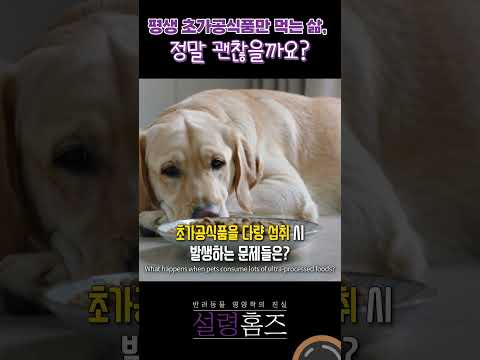 평생 초가공식품만 먹는 <strong>삶</strong>, 정말 괜찮을까요?