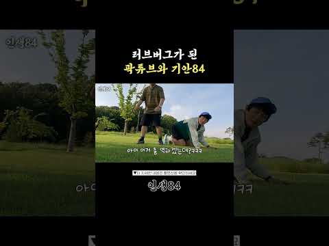 러브버그쑈