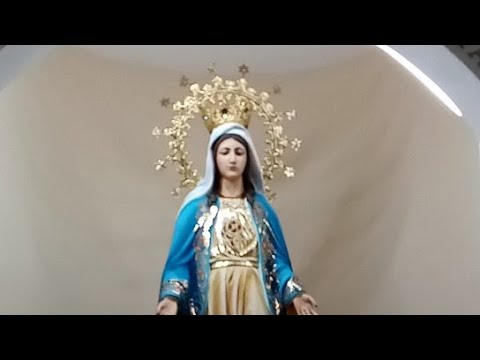 Santo Rosario PSJA Miércoles 08 de Mayo de 2024