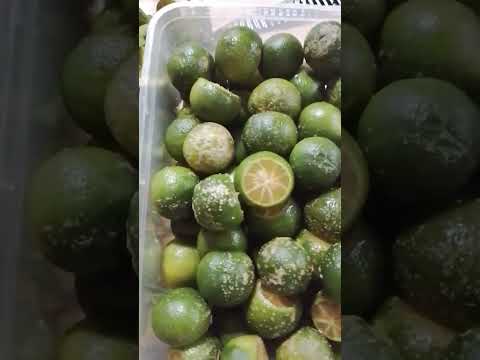 calamansi juice fruit #fruits #yourubeshorts #shortvideo #youtube @youtubecreators