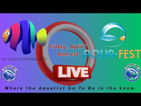The Aquatic Morning Show The Aquatic Morning Show is a YouTube channel that features videos about all things aquatic, includi