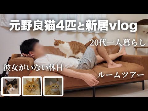 元野良猫4匹と暮らす20代男👨🏻新居での生活💐日常vlog📷