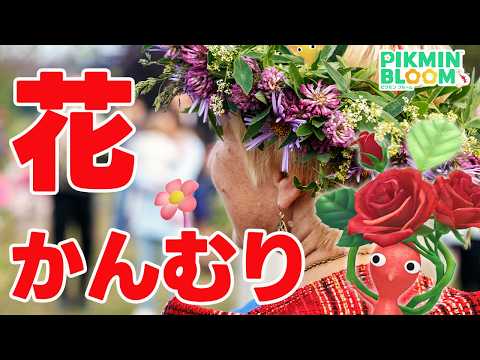絶対可愛いやつ来るゾ！花かんむりデコピクミン！【ピクミンブルーム/PikminBloom】