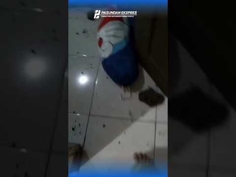 Individu ODGJ Rusak Rumah Warga di Bandung #news #shortvideo #bandung #beritaterkini