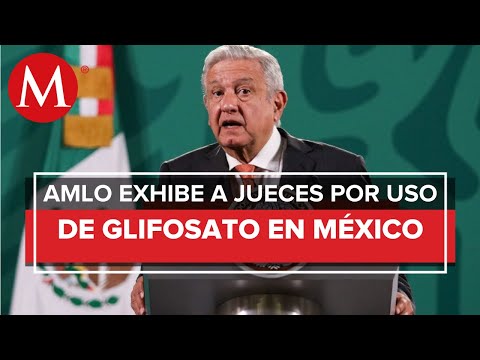 Para defender empresas, jueces son eficientes y tenaces, pero no protegen al pueblo: AMLO