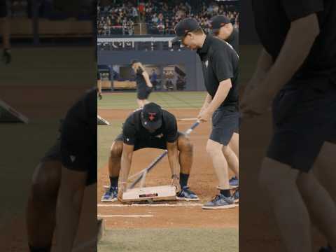 Behind The Scenes With Blue Jays Grounds Crew ⚾️