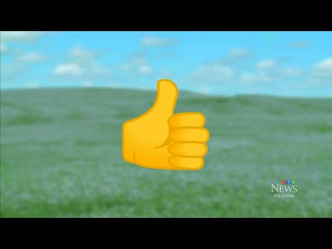 Saskatchewan's Court of Appeal dismisses thumbs up emoji case