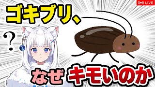 【獣医が解説】ゴキブリは本当にキモいのか？おもしろゴキブリ話【北国ここなの動物研究室】