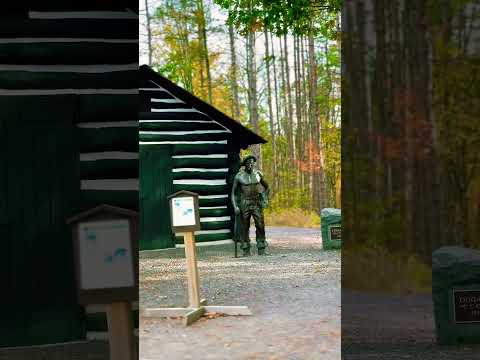 Leonard Harrison State Park #wellsboro #PA #travel #travelvlog #autumn #scenery # colorfulleaves
