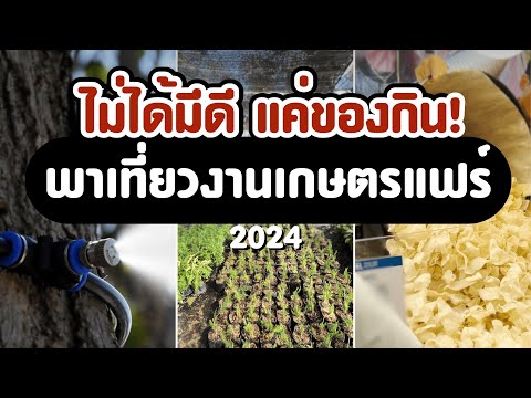 พาเที่ยวงานเกษตรแฟร์2024Iไม