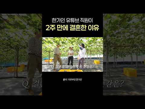한가인 <strong>유튜브</strong> 직원이 급속결혼을 한 이유는?