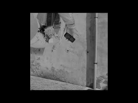 Pashanim - junge ceos [slowed & reverb]