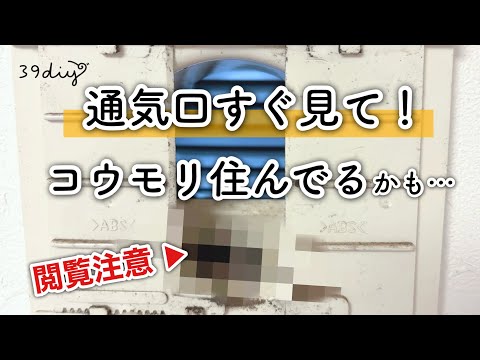 【閲覧注意】通気口が“侵入口”に!? コウモリ・虫の対策を100均でやってみた
