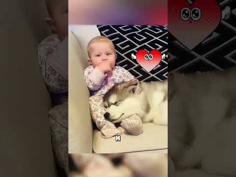 САМАЯ МИЛАЯ СОБАЧКА В СЕМЬЕ💖🥰