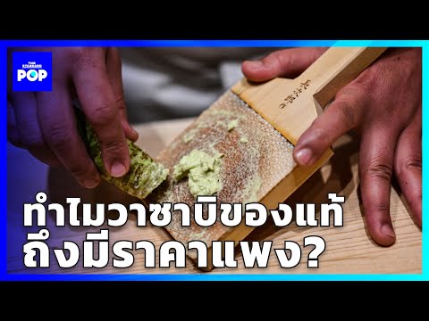 ทำไมวาซาบิของแท้ถึงมีราคาแพง ทำไมวาซาบิของแท้ถึงมีราคาแพง