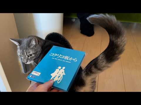 ジブリの押し売りやめろ