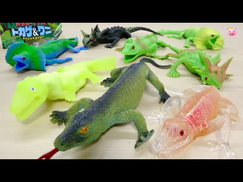 何が出るか楽しみ! びっくりするほど超のび〜る!変形 爬虫類 リアル トカゲ＆ワニ