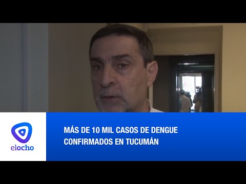 MÁS DE 10 MIL CASOS DE DENGUE CONFIRMADOS EN TUCUMÁN