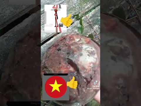 cùng làm đồ ăn cho kal