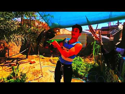 تدريب النسر العملاق ولكن #هجام#اكسبلور #capcut #صلبوخ