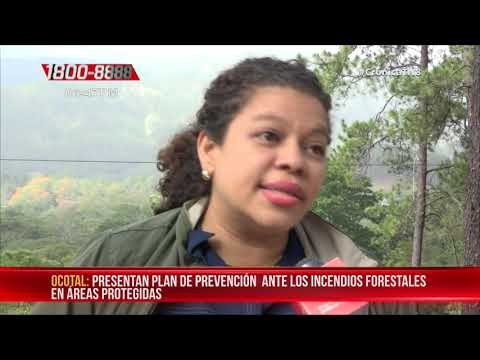 Presentan plan para prevenir incendios forestales en Nueva Segovia– Nicaragua