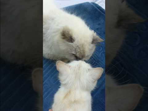 KAGET BANGET WOYY😭😭😱