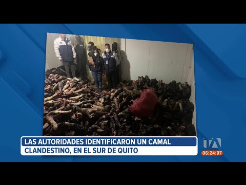 Toneladas de cárnicos en descomposición fueron incautados en un camal ilegal al sur de Quito