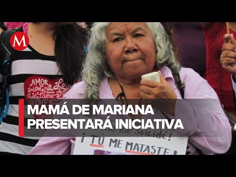 Ley Mariana Lima' llegará al Congreso Local del estado de Chiapas