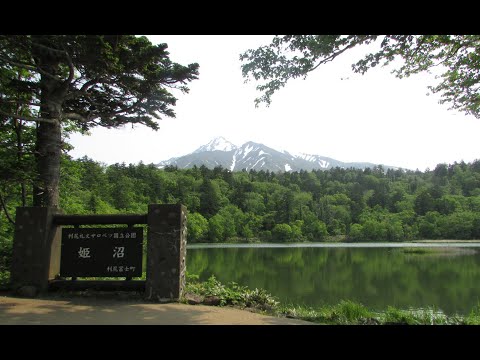 利尻島 姫沼 園地