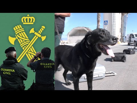 La jubilación esperada de Drago tras una vida en la Guardia Civil