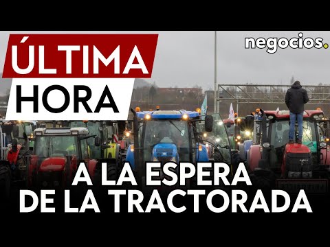 ÚLTIMA HORA | Cientos de agricultores se concentran en la Puerta de Alcalá a la espera de tractorada