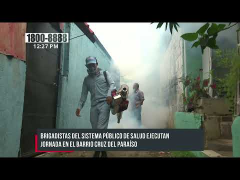 Brigadistas del MINSA eliminan el zancudo en barrio Cruz del Paraíso - Nicaragua