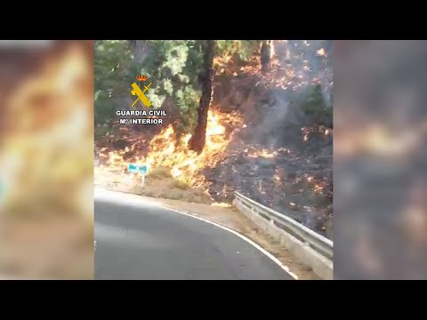 La Guardia Civil colabora en la extinción del incendio forestal declarado en Puntagorda (La Pal