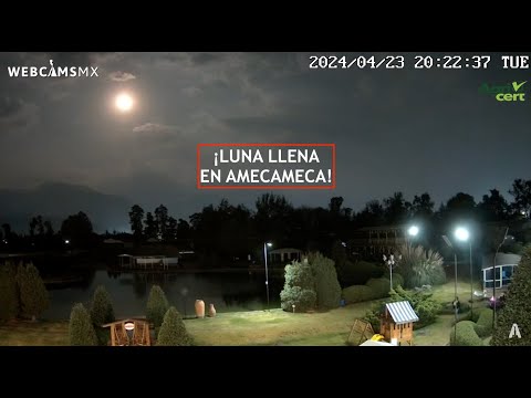 #AMECAMECA | ¡#LunaLlena! #EnVivo