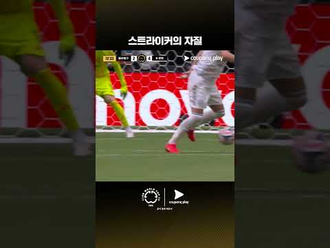 멀티골을 기록하는 해리 케인 | 플라멩구 vs 바이에른 뮌헨