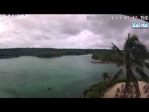 El Parque de Xel Ha, Quintana Roo, en vivo