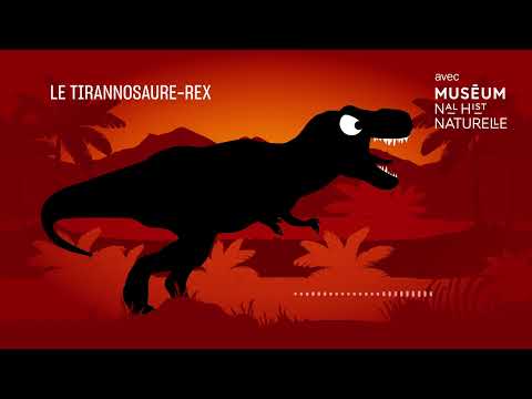 Le Tyrannosaure-rex : la terreur sur pattes - Bestioles fossiles