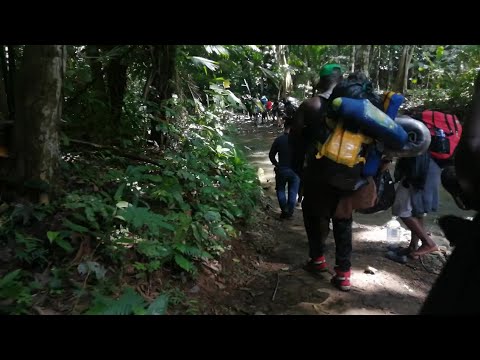 Alerta en Panamá por migrantes y antecedentes - Teleantioquia Noticias