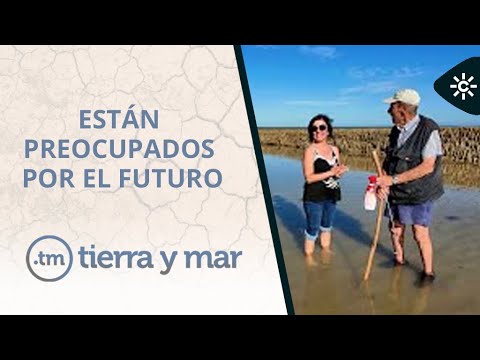 Tierra y mar | Los corraleros de Rota luchan por la supervivencia de un método de pesca milenario