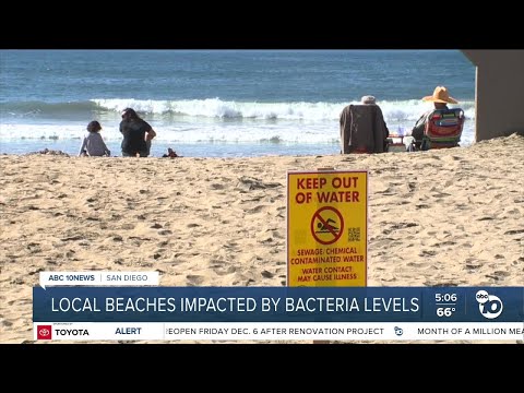 Local beaches impacted by bacteria levels