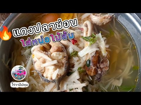 แกงปลาช่อนใส่หน่อไม้ส้มรสชาติ