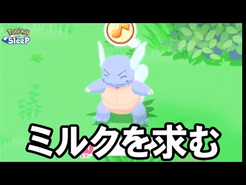 カメックス理想個体3体目チャレンジ。【ポケモンスリープ】
