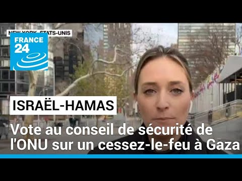 Gaza : vote au conseil de sécurité de l'ONU sur un cessez-le-feu dans l'enclave • FRANCE 24