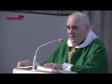 Evangelio y homilía de hoy Domingo 29 de septiembre de 2024. Rvdo. Enric Ribas, pbro.