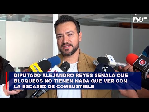 Diputado Alejandro Reyes señala que  bloqueos no tienen nada que ver con la escasez de combustible