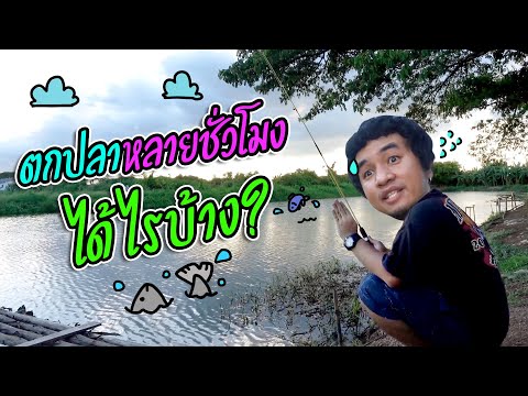 ปลาทะเลยังจัดมาแล้ว-รอบนี้ขอลอ ปลาทะเลยังจัดมาแล้ว-รอบนี้ขอลอ