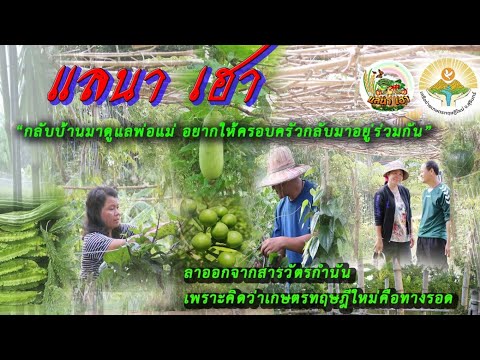 แลนา-เฮา-เครือข่ายเกษตรทฤษฎี แลนา-เฮา-เครือข่ายเกษตรทฤษฎี