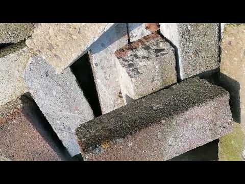 ***Wahrnehmung*** Krabbelnde und fast fliegende Spinnen im Spinnen Hotel, naja eher Kindergarten 🕷️